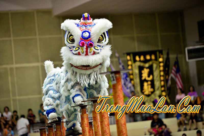 hình-ảnh-múa-lân-đẹp-nhất