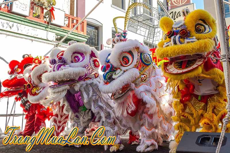 hình-ảnh-múa-lân-đẹp-nhất